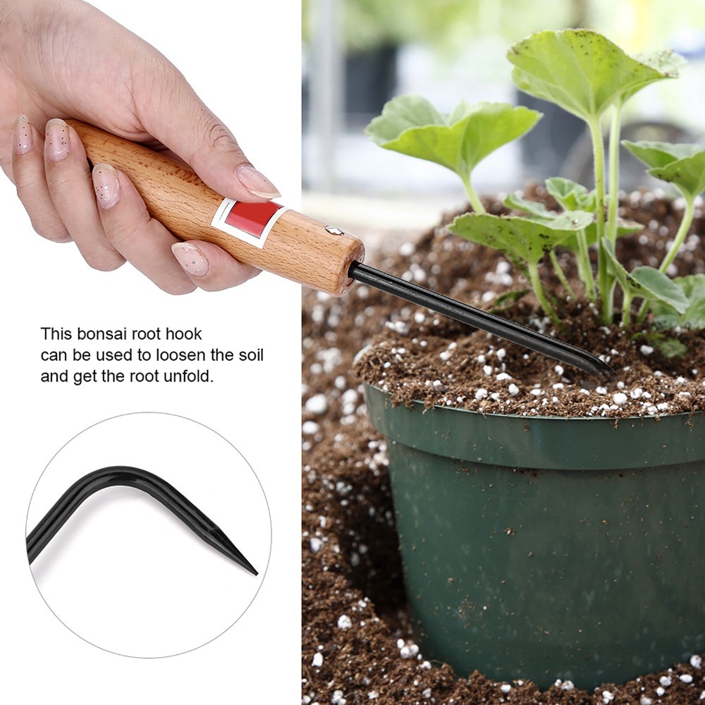 Robuster Eisen-Bonsai-Wurzelha – Root Hook Tool Bewertung und Preis