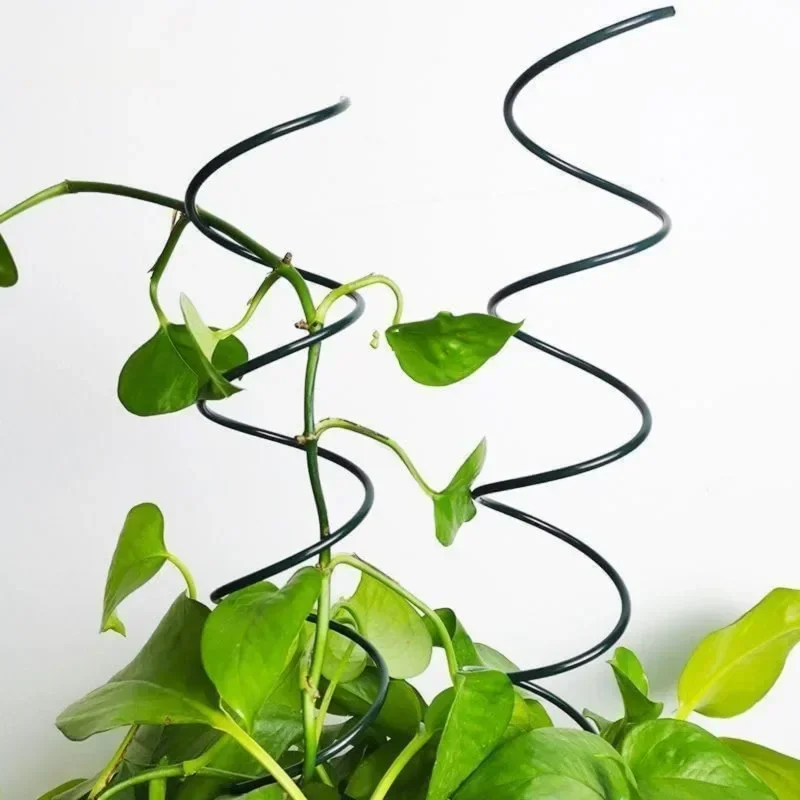 Kletterpflanzen-Stützstange, R – Bonsai Garden Stand Bewertung und Preis