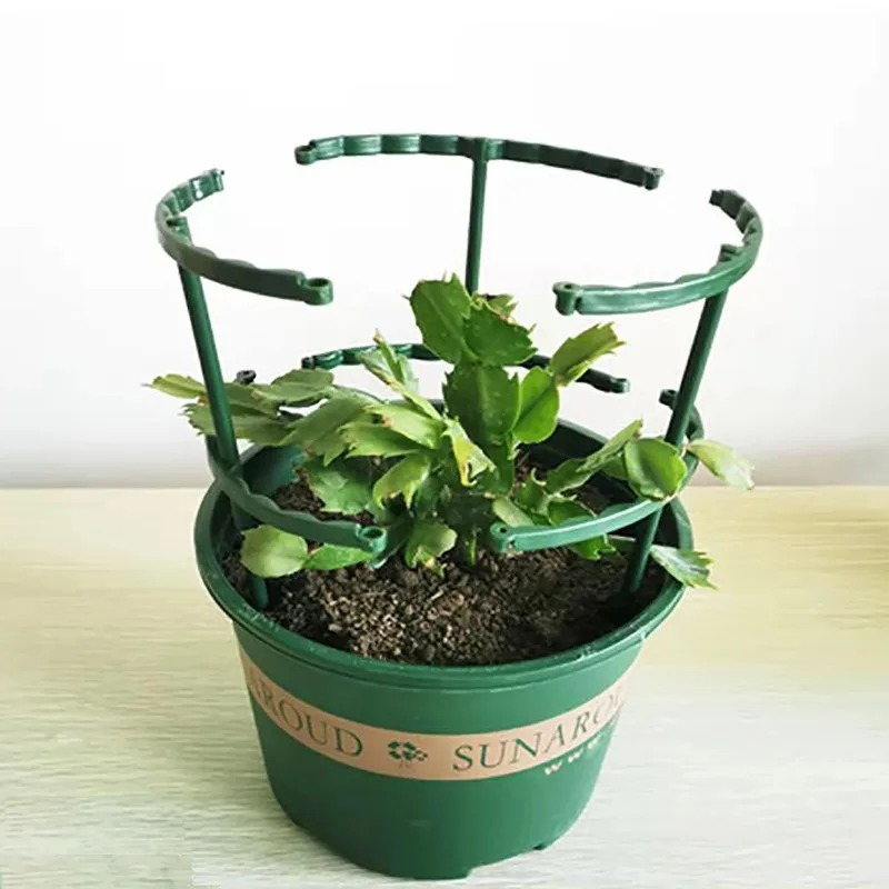 4er-Set Kunststoff-Pflanzenstü – Bonsai Garden Stand Bewertung und Preis