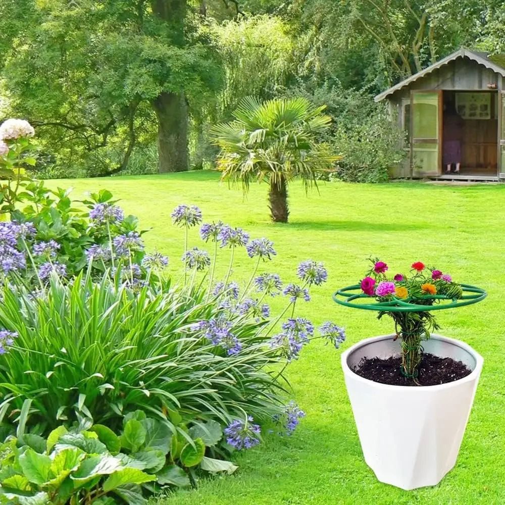Neuer S/M/L Bonsai-Kletterrahm – Bonsai Garden Stand Bewertung und Preis