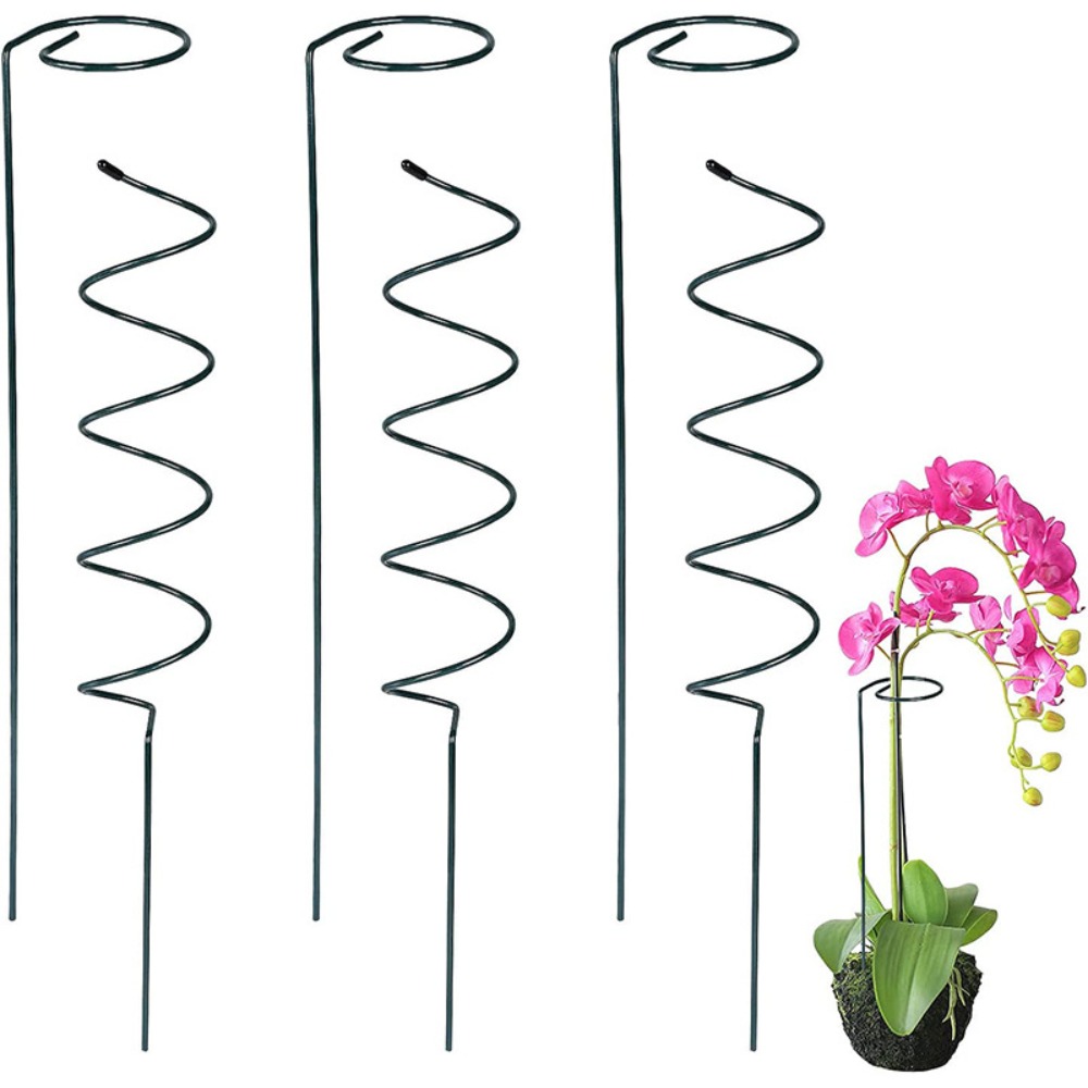 Neue Befestigungsstange Klette – Bonsai Garden Stand Bewertung und Preis