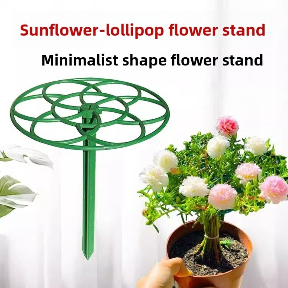 S/M/L Bonsai-Klettergerüst Sta – Bonsai Garden Stand Bewertung und Preis