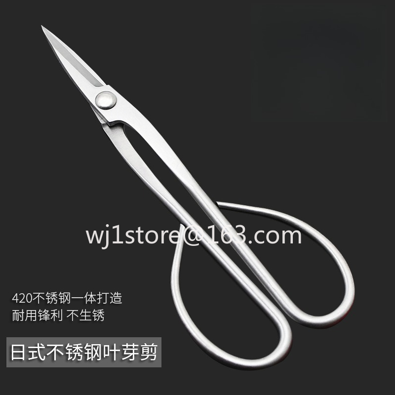 Edelstahl-Bonsaischeren für Ga – Root Hook Tool Bewertung und Preis
