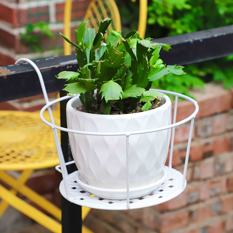 1 Stück Gartentöpfe für Drauße – Bonsai Garden Stand Bewertung und Preis