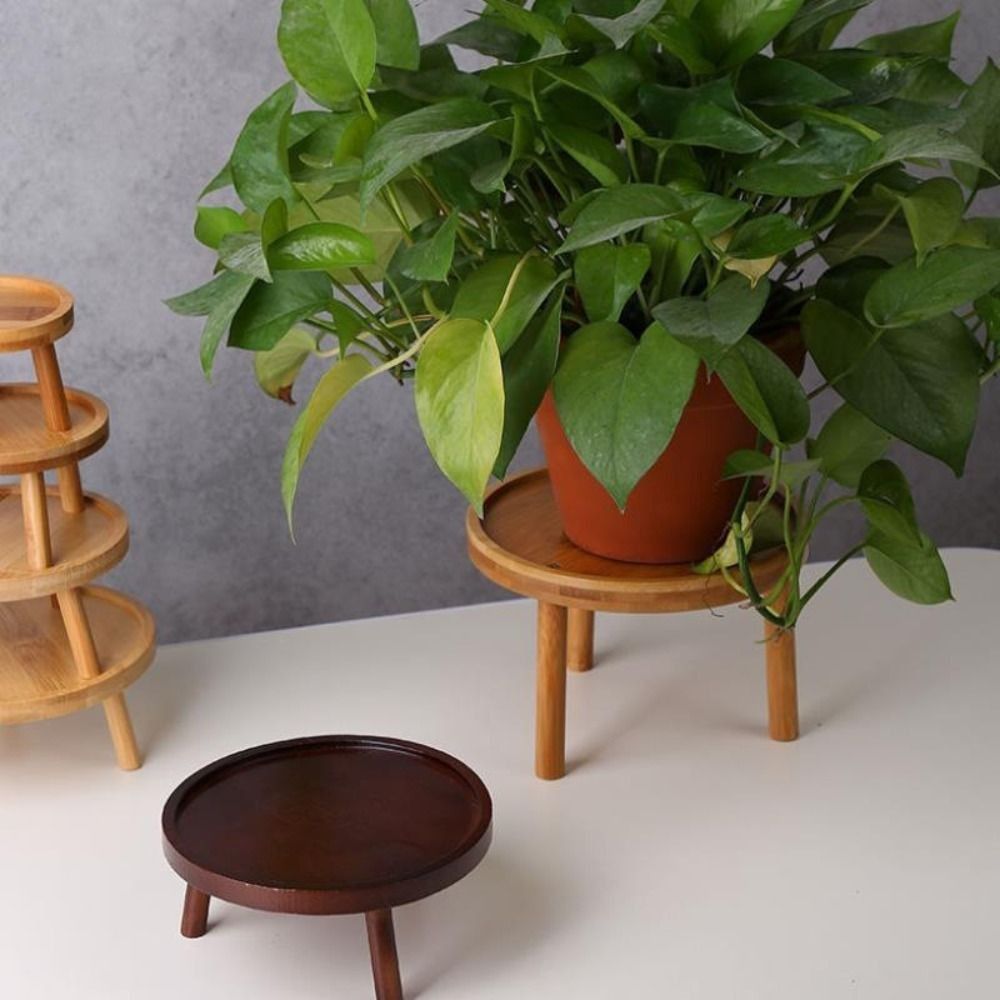 Solider Kreativer Sukkulenten- – Bonsai Garden Stand Bewertung und Preis