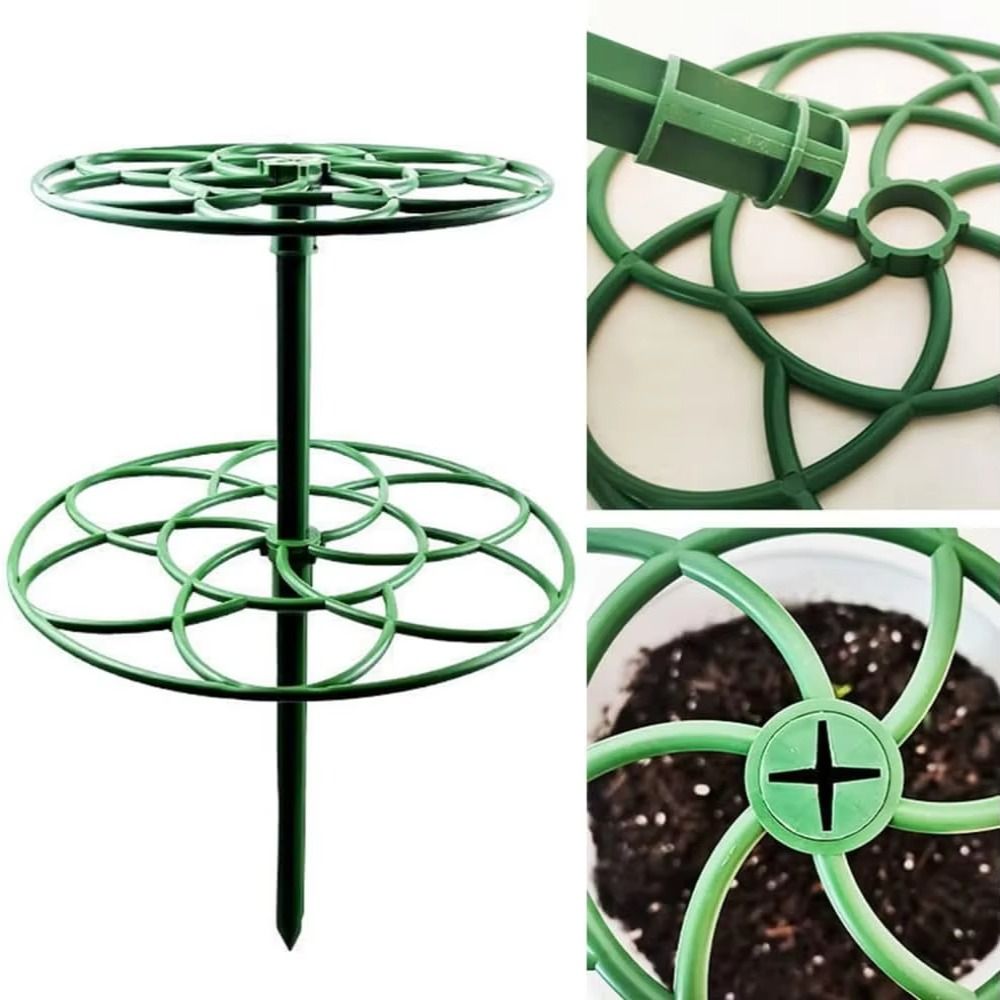 S/M/L Bonsai-Klettergestell au – Bonsai Garden Stand Bewertung und Preis