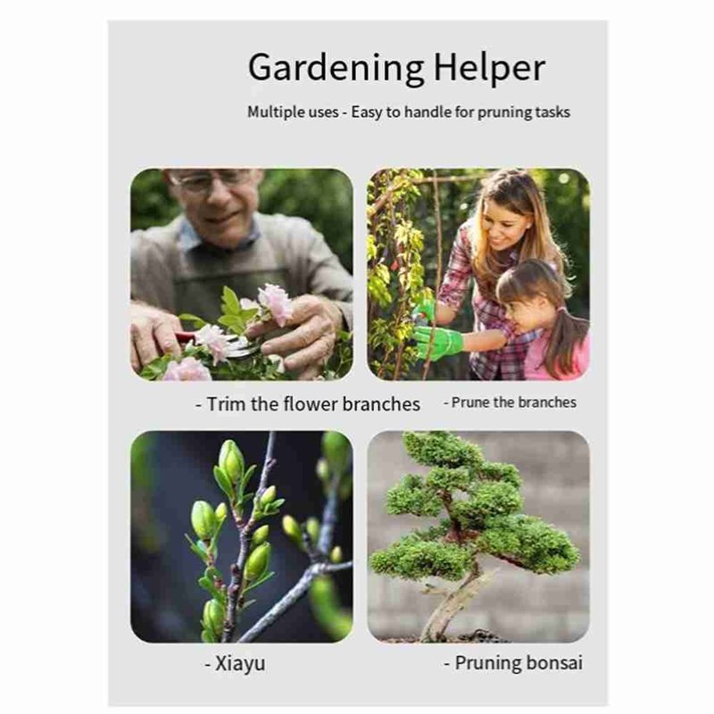 ALIM-Bonsai-Baumwerkzeuge, 4-t – Root Hook Tool Bewertung und Preis