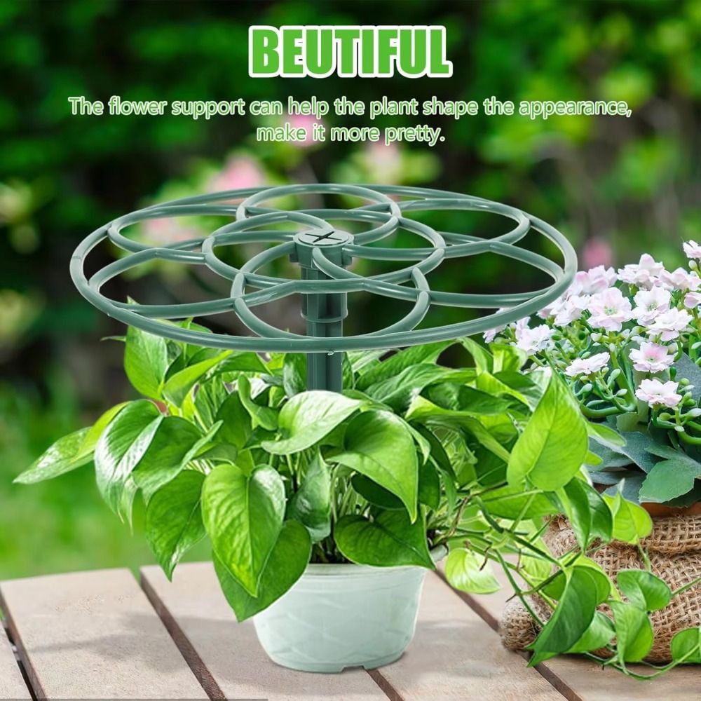 Neuer S/M/L Bonsai-Kletterrahm – Bonsai Garden Stand Bewertung und Preis