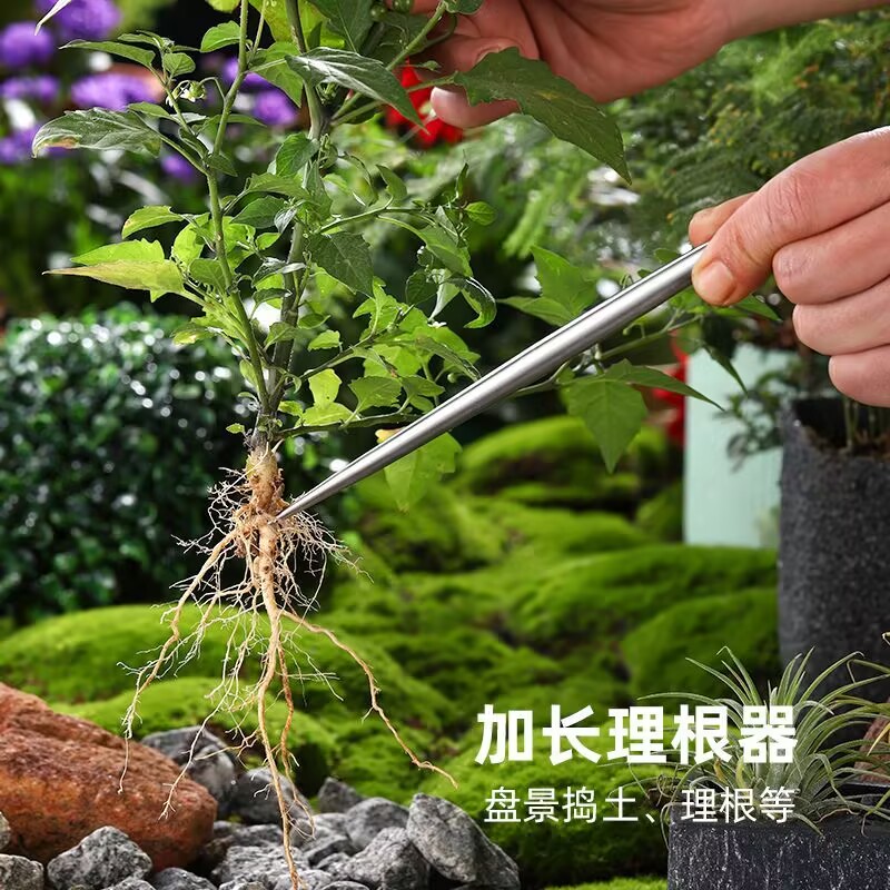 Massiver Edelstahl-Wurzelhaken – Root Hook Tool Bewertung und Preis