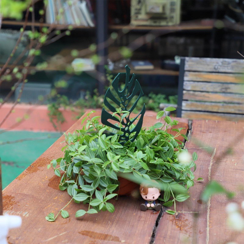 Pflanze Klettern Unterstützung – Bonsai Garden Stand Bewertung und Preis